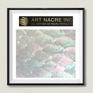 Art Nacre Inc - Natural Donkey Ear Abalone Shell Sheets 24x14cm
